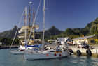 Cook Islands ID 102779.jpg